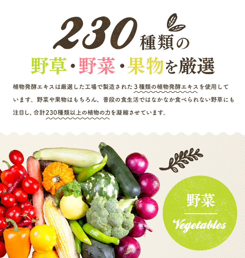 230種類の野草・野菜・果物を厳選
